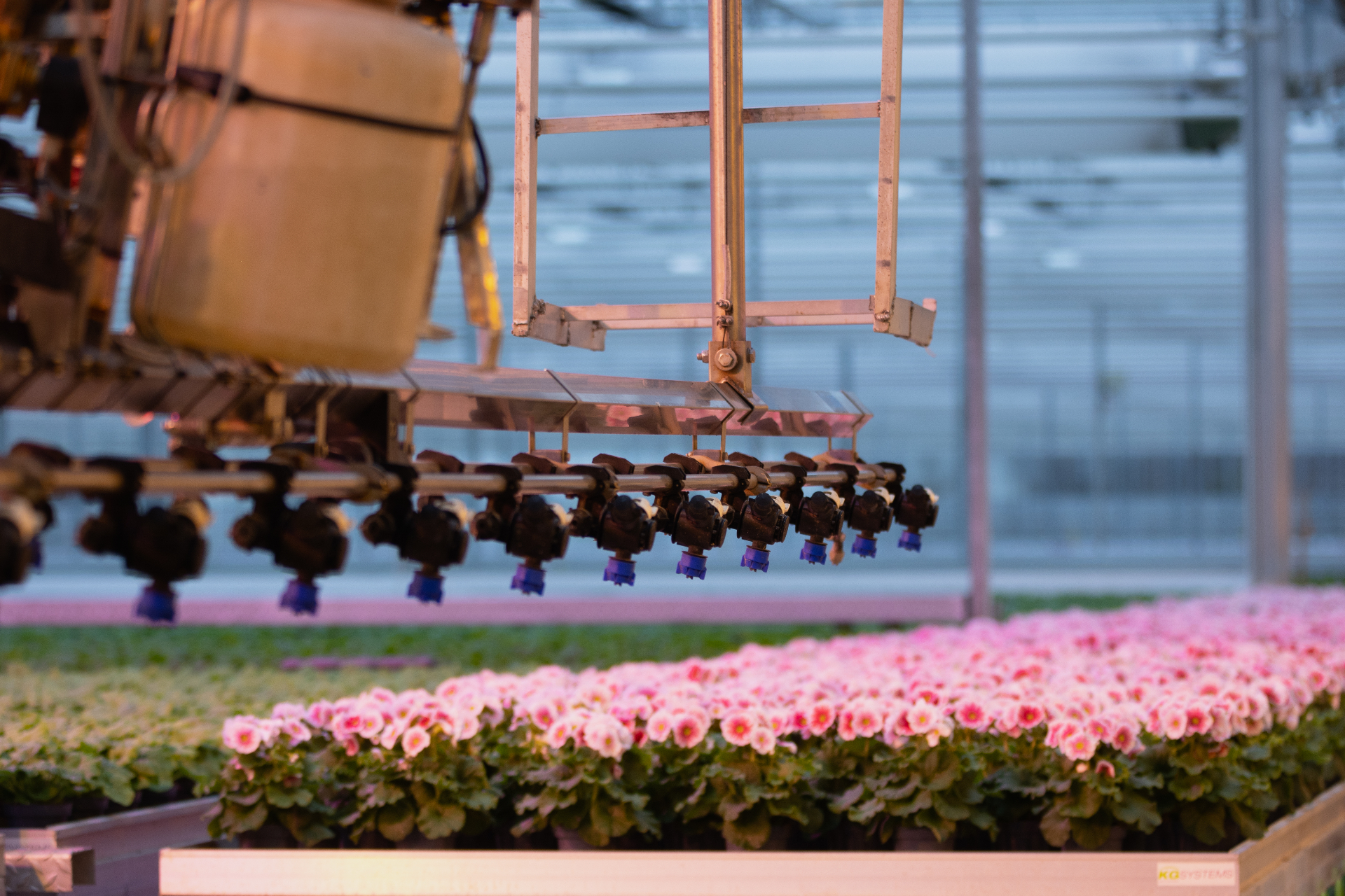 Gewasbescherming (IPM)